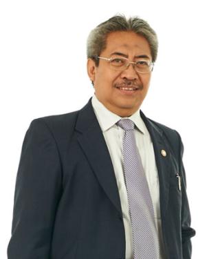 Prof. Dr. Ir. Bustanul Arifin